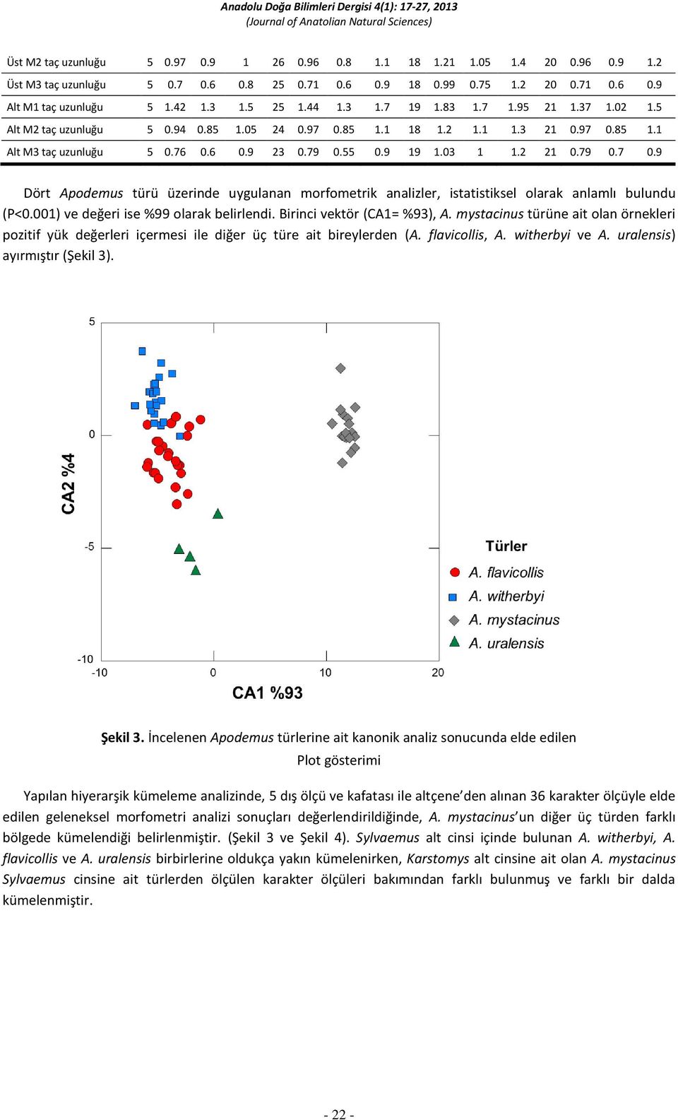 03 1 1.2 21 0.79 0.7 0.9 Dört Apodemus türü üzerinde uygulanan morfometrik analizler, istatistiksel olarak anlamlı bulundu (P<0.001) ve değeri ise %99 olarak belirlendi. Birinci vektör (CA1= %93), A.