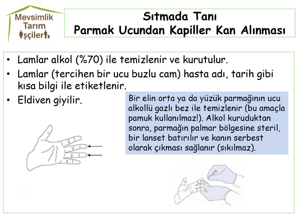 Bir elin orta ya da yüzük parmağının ucu alkollü gazlı bez ile temizlenir (bu amaçla pamuk kullanılmaz!).