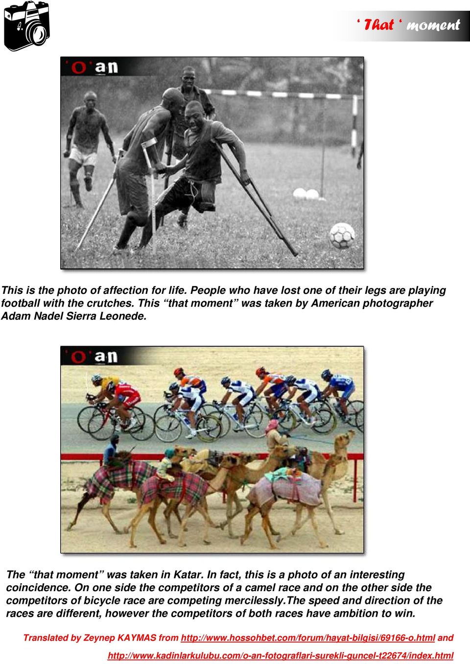 On one side the competitors of a camel race and on the other side the competitors of bicycle race are competing mercilessly.