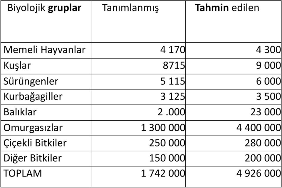 Balıklar 2.