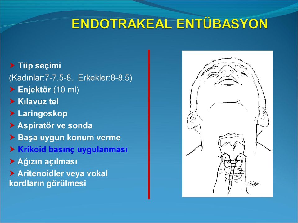 ve sonda Başa uygun konum verme Krikoid basınç