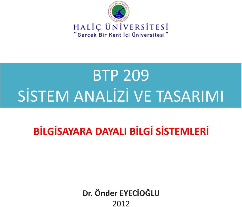 DAYALI BİLGİ SİSTEMLERİ