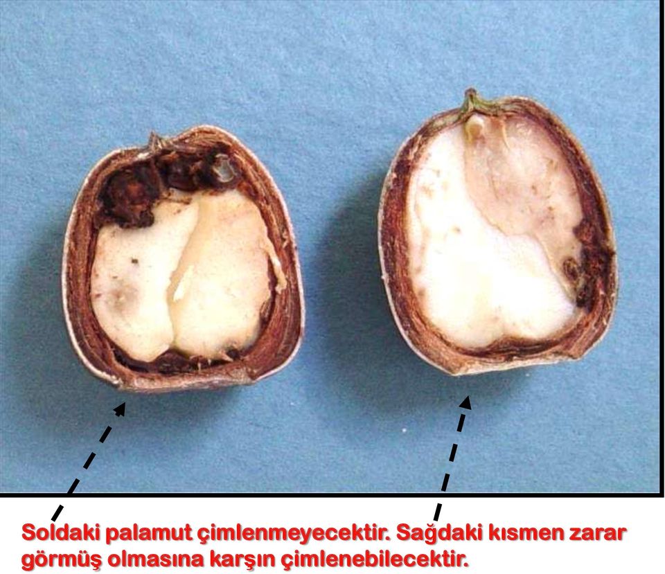 Sağdaki kısmen zarar