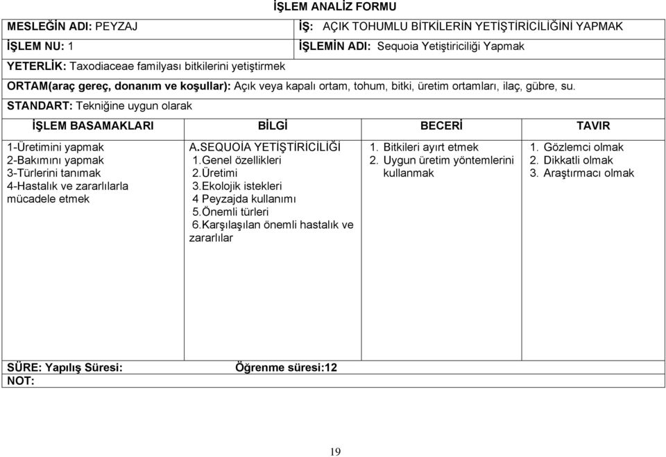 YETERLİK: Taxodiaceae familyası bitkilerini yetiştirmek A.