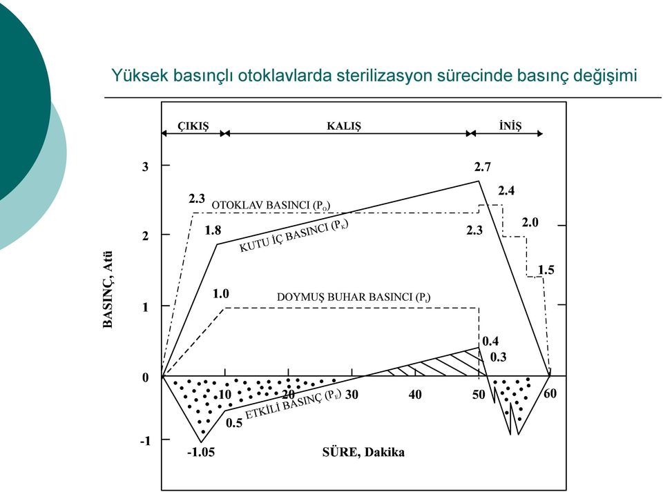 sterilizasyon