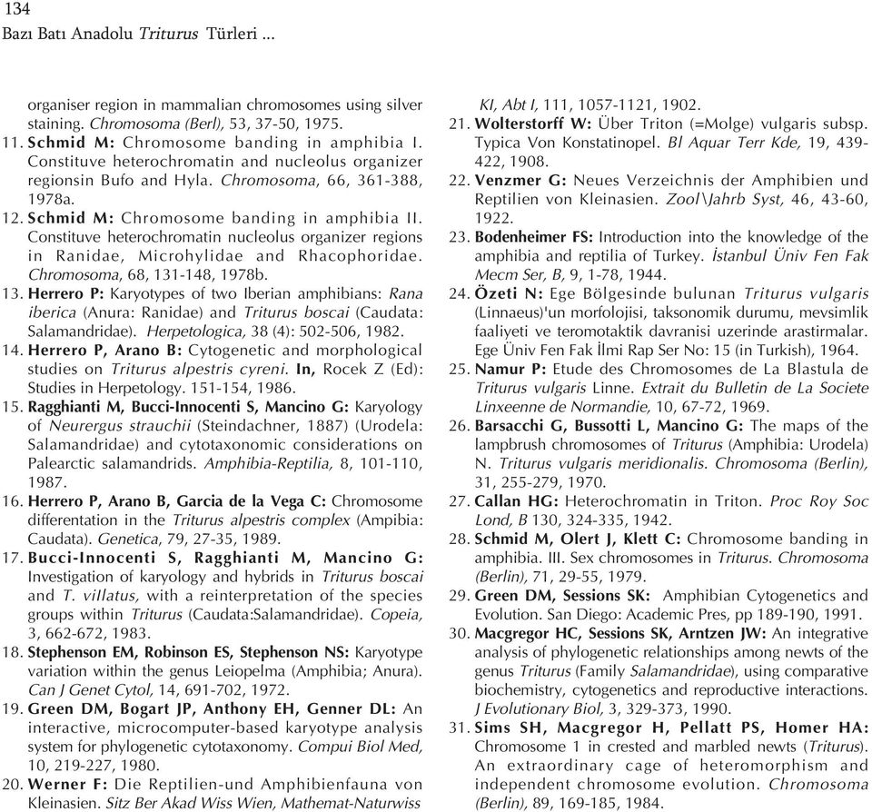 Constituve heterochromatin nucleolus organizer regions in Ranidae, Microhylidae and Rhacophoridae. Chromosoma, 68, 131