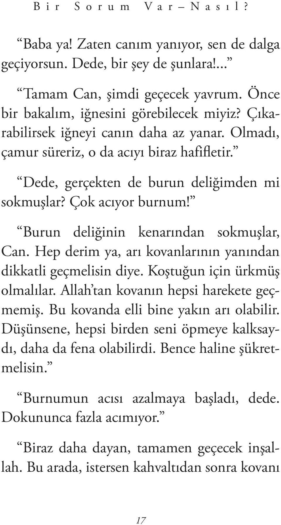 Burun deliğinin kenarından sokmuşlar, Can. Hep derim ya, arı kovanlarının yanından dikkatli geçmelisin diye. Koştuğun için ürkmüş olmalılar. Allah tan kovanın hepsi harekete geçmemiş.