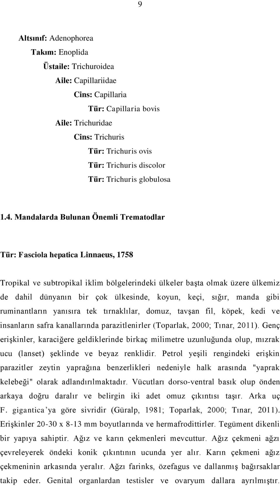 Mandalarda Bulunan Önemli Trematodlar Tür: Fasciola hepatica Linnaeus, 1758 Tropikal ve subtropikal iklim bölgelerindeki ülkeler başta olmak üzere ülkemiz de dahil dünyanın bir çok ülkesinde, koyun,