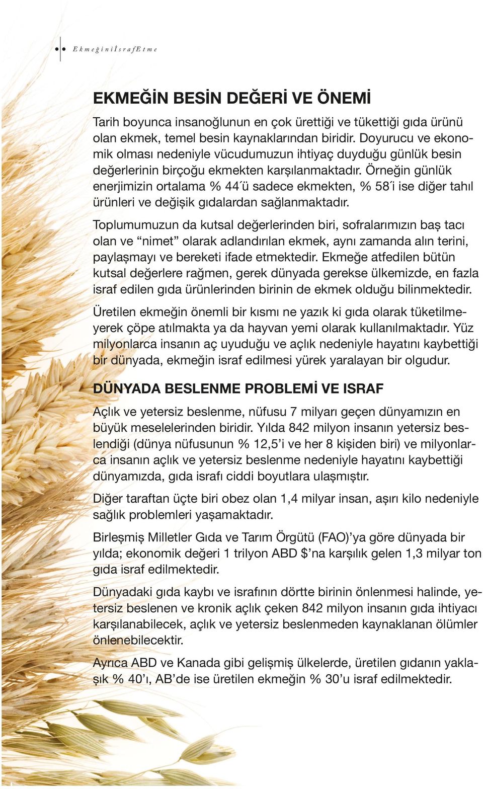 Örneğin günlük enerjimizin ortalama % 44 ü sadece ekmekten, % 58 i ise diğer tahıl ürünleri ve değișik gıdalardan sağlanmaktadır.