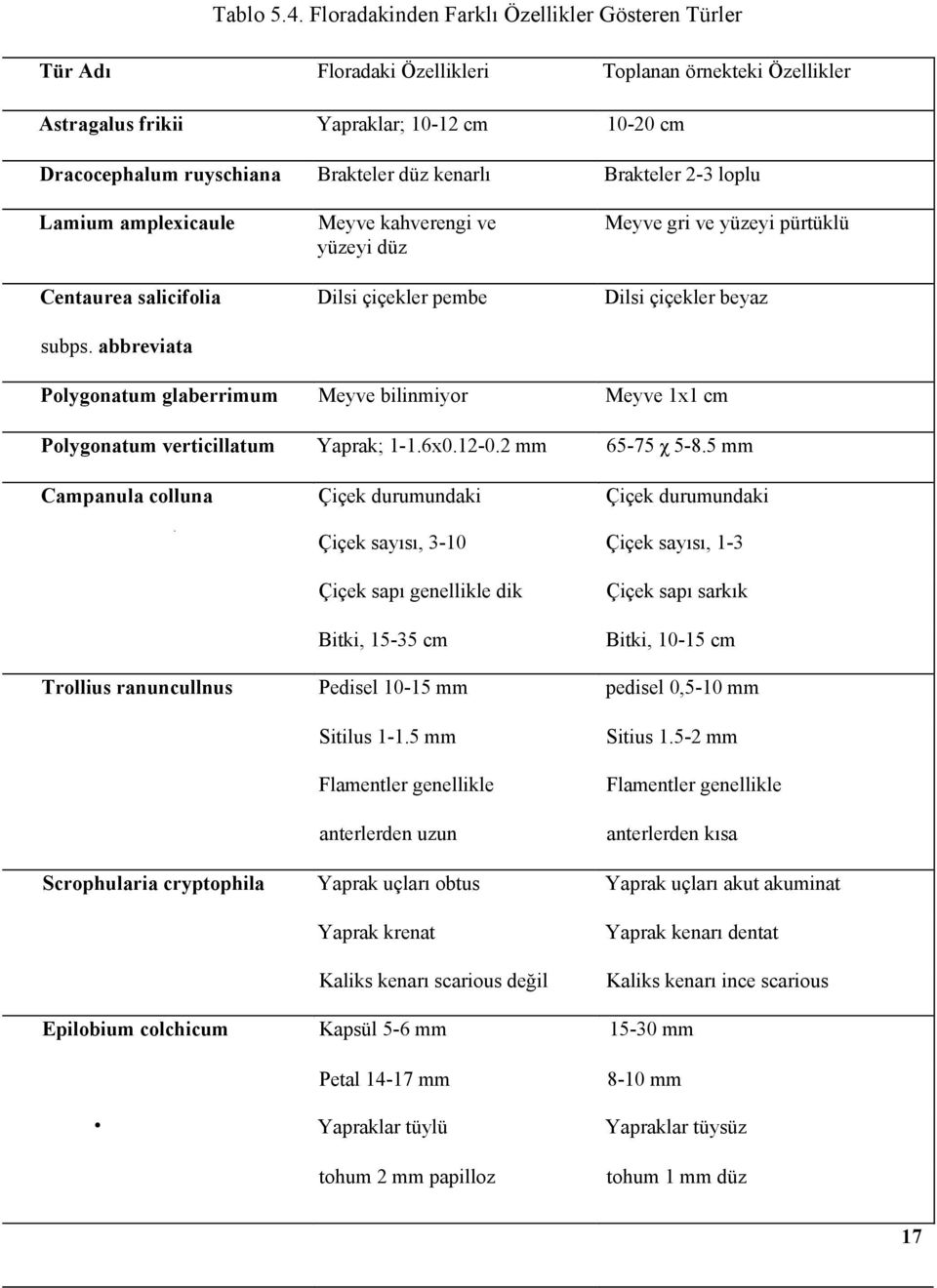 kenarlı Brakteler 2-3 loplu Lamium amplexicaule Meyve kahverengi ve yüzeyi düz Meyve gri ve yüzeyi pürtüklü Centaurea salicifolia Dilsi çiçekler pembe Dilsi çiçekler beyaz subps.