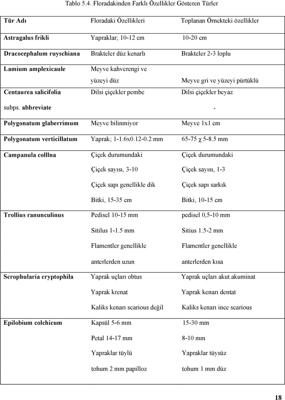 kenarlı Brakteler 2-3 loplu Lamium amplexicaule Meyve kahverengi ve yüzeyi düz Meyve gri ve yüzeyi pürtüklü Centaurea salicifolia Dilsi çiçekler pembe Dilsi çiçekler beyaz subps. abbreviate.