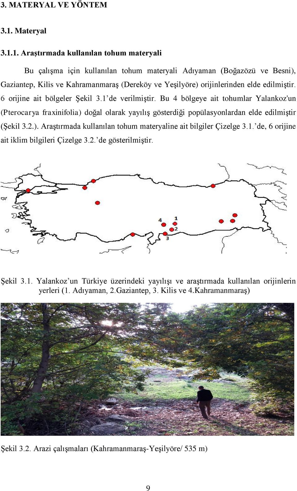 1. Araştırmada kullanılan tohum materyali Bu çalışma için kullanılan tohum materyali Adıyaman (Boğazözü ve Besni), Gaziantep, Kilis ve Kahramanmaraş (Dereköy ve Yeşilyöre) orijinlerinden elde