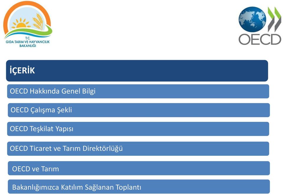 Ticaret ve Tarım Direktörlüğü OECD ve