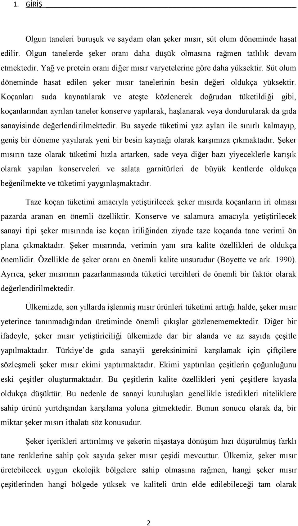 Koçanları suda kaynatılarak ve ateşte közlenerek doğrudan tüketildiği gibi, koçanlarından ayrılan taneler konserve yapılarak, haşlanarak veya dondurularak da gıda sanayisinde değerlendirilmektedir.