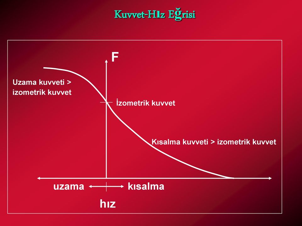 İzometrik kuvvet Kısalma 