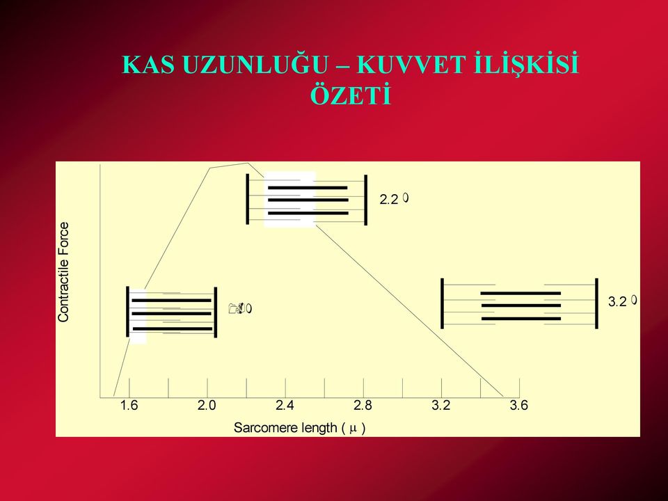 ÖZETİ 2.2 m 1.6 m 3.2 m 1.6 2.