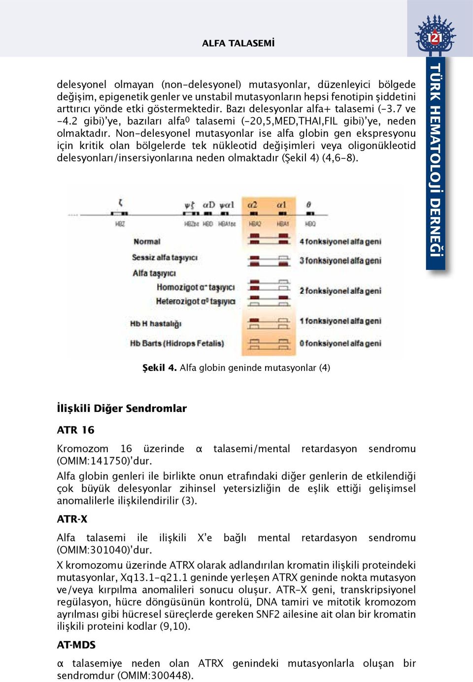 Non-delesyonel mutasyonlar ise alfa globin gen ekspresyonu için kritik olan bölgelerde tek nükleotid değişimleri veya oligonükleotid delesyonları/insersiyonlarına neden olmaktadır (Şekil 4) (4,6-8).