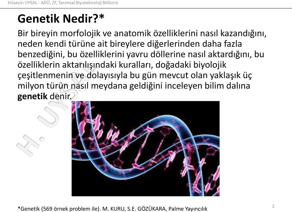 daha fazla benzediğini, bu özelliklerini yavru döllerine nasıl aktardığını, bu özelliklerin aktarılışındaki kuralları,