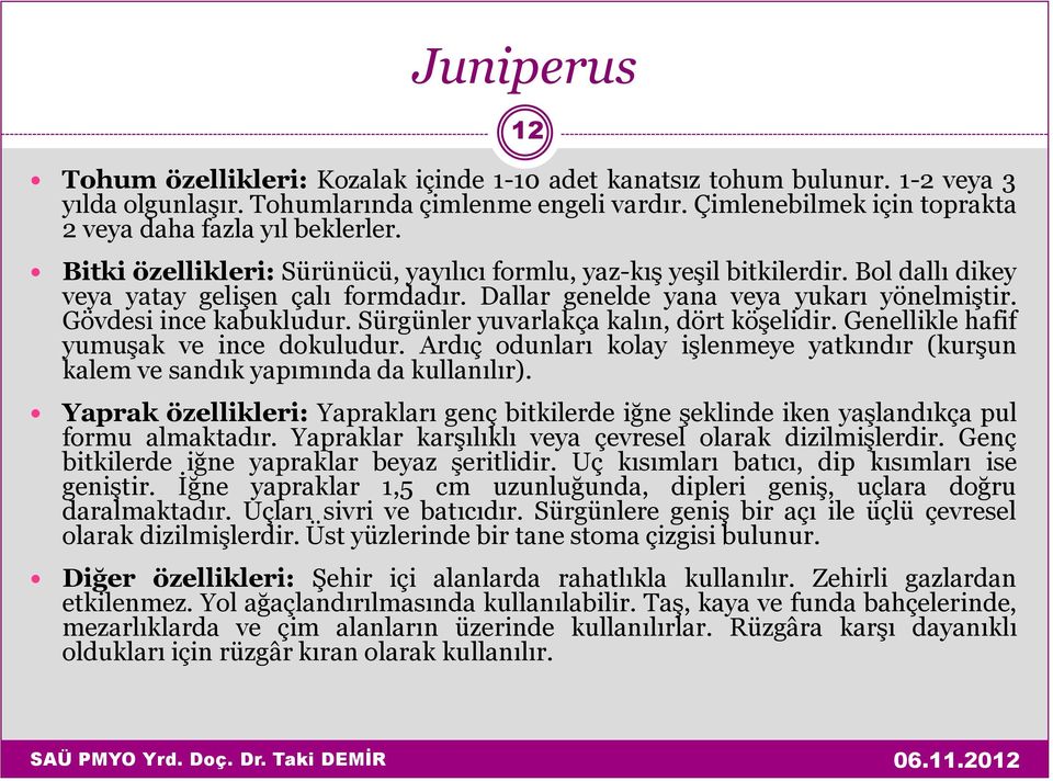 Dallar genelde yana veya yukarı yönelmiştir. Gövdesi ince kabukludur. Sürgünler yuvarlakça kalın, dört köşelidir. Genellikle hafif yumuşak ve ince dokuludur.