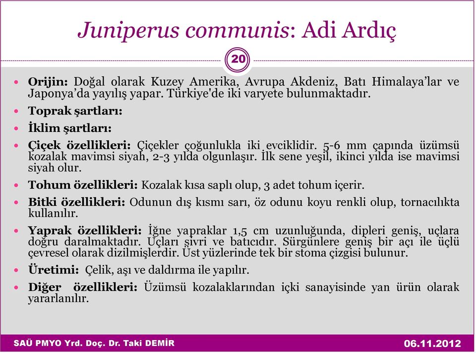 İlk sene yeşil, ikinci yılda ise mavimsi siyah olur. Tohum özellikleri: Kozalak kısa saplı olup, 3 adet tohum içerir.