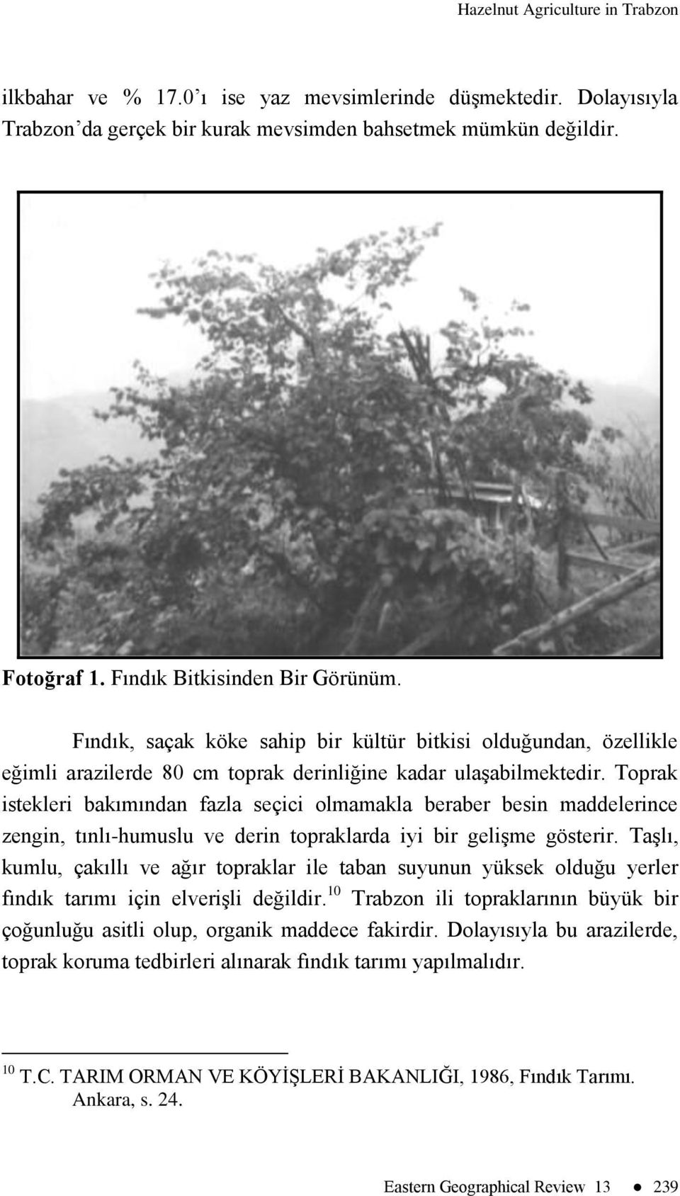 Toprak istekleri bakımından fazla seçici olmamakla beraber besin maddelerince zengin, tınlı-humuslu ve derin topraklarda iyi bir geliģme gösterir.