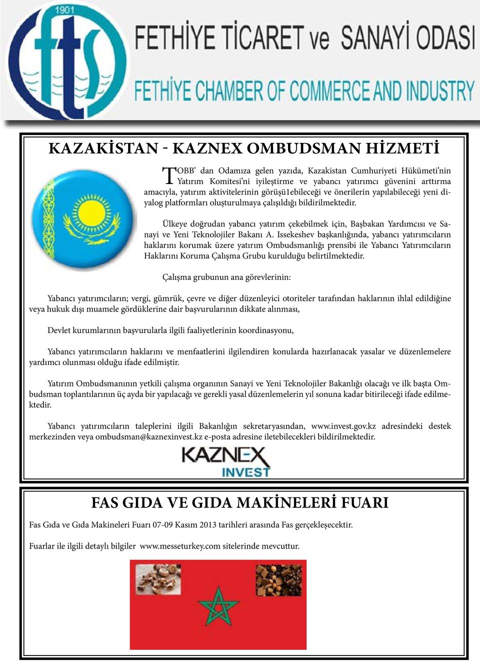 Ülkeye doğrudan yabancı yatırım çekebilmek için, Başbakan Yardımcısı ve Sanayi ve Yeni Teknolojiler Bakanı A.