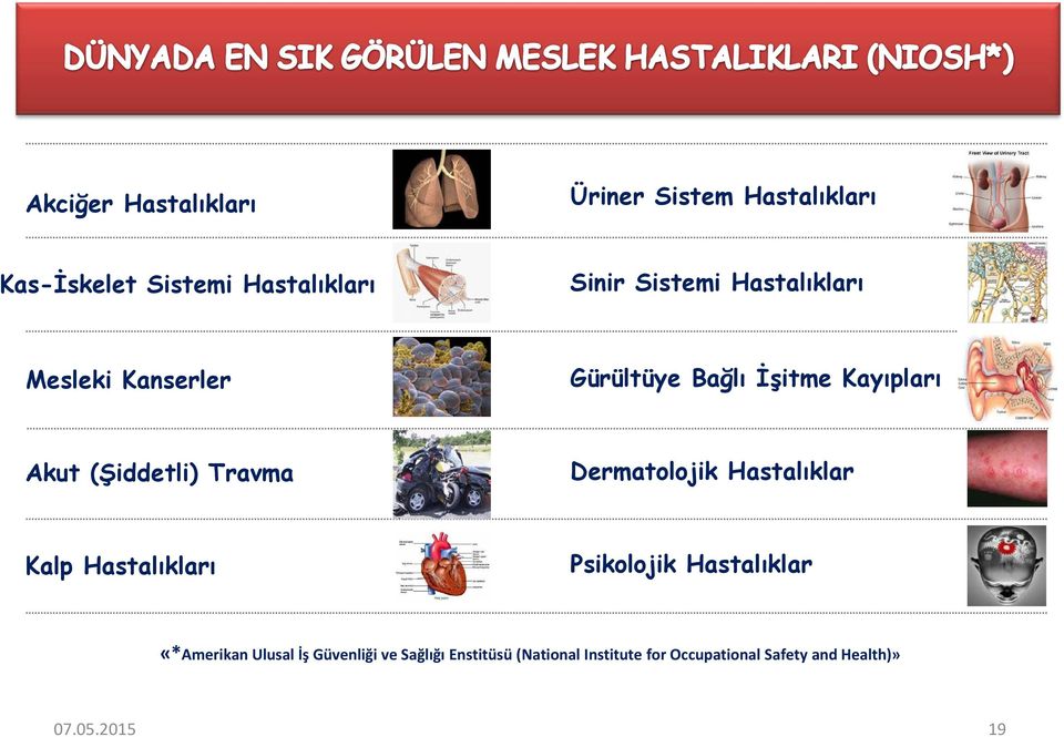 Travma Dermatolojik Hastalıklar Kalp Hastalıkları Psikolojik Hastalıklar «*Amerikan