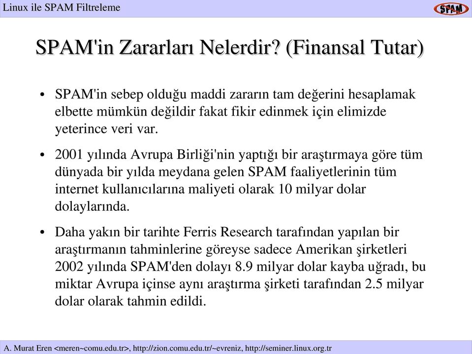 2001 yılında Avrupa Birliği'nin yaptığı bir araştırmaya göre tüm dünyada bir yılda meydana gelen SPAM faaliyetlerinin tüm internet kullanıcılarına maliyeti olarak