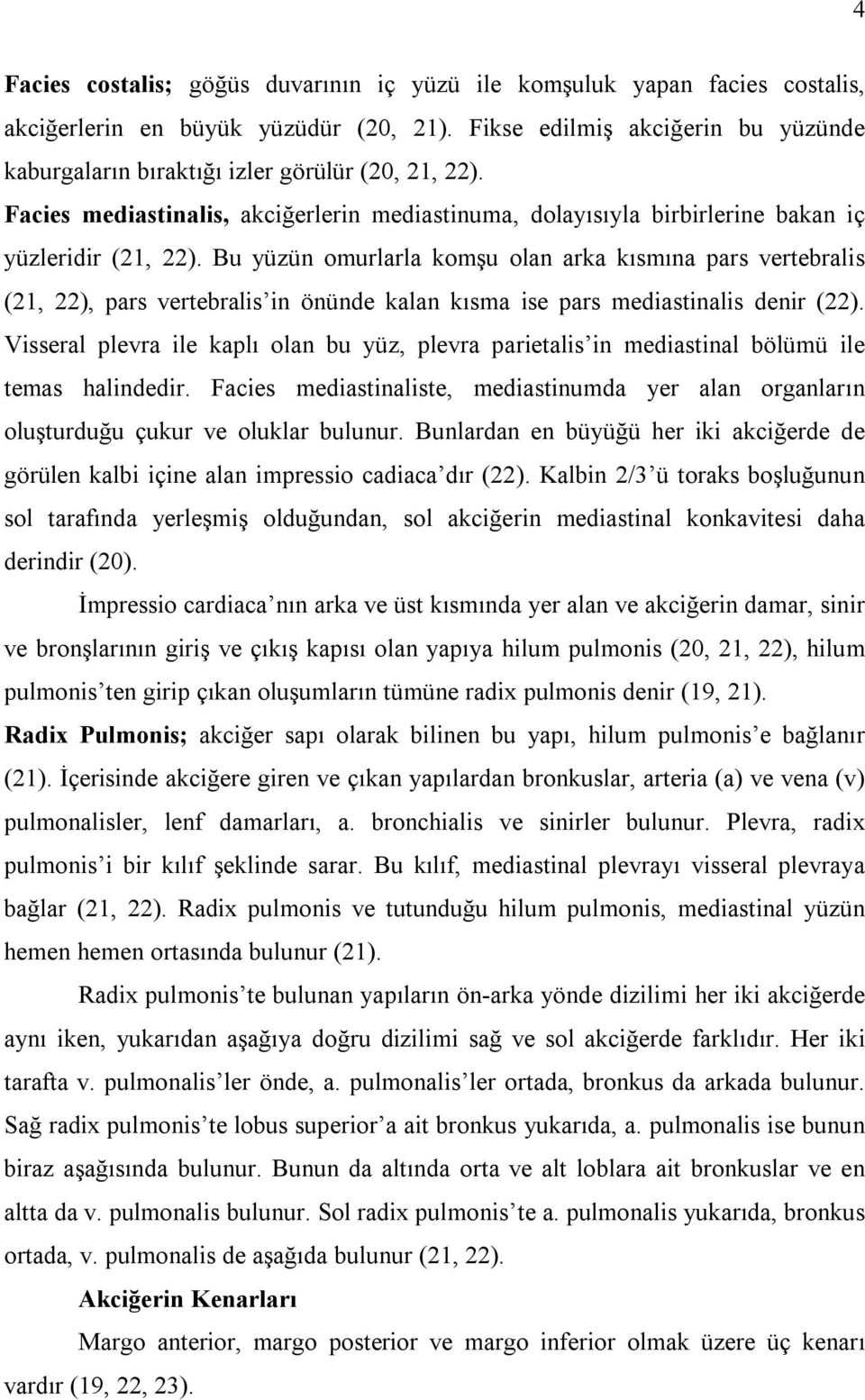 Bu yüzün omurlarla komşu olan arka kısmına pars vertebralis (21, 22), pars vertebralis in önünde kalan kısma ise pars mediastinalis denir (22).