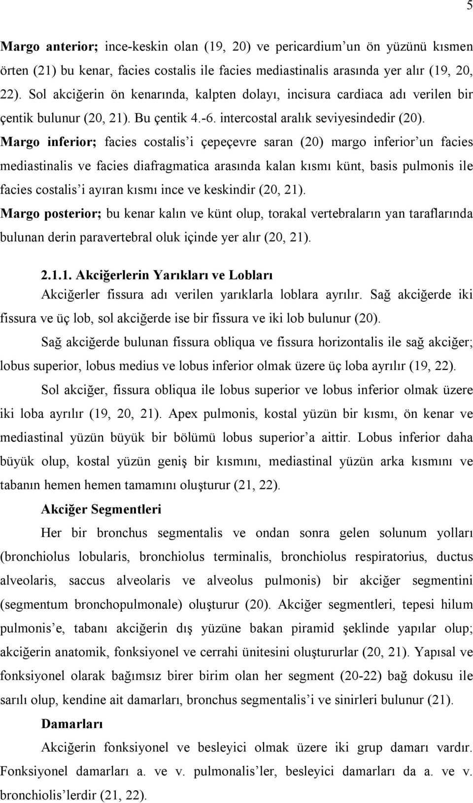 Margo inferior; facies costalis i çepeçevre saran (20) margo inferior un facies mediastinalis ve facies diafragmatica arasında kalan kısmı künt, basis pulmonis ile facies costalis i ayıran kısmı ince