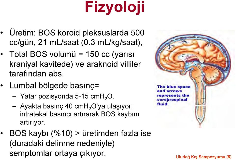 Lumbal bölgede basınç= Yatar pozisyonda 5-15 cmh 2 O.