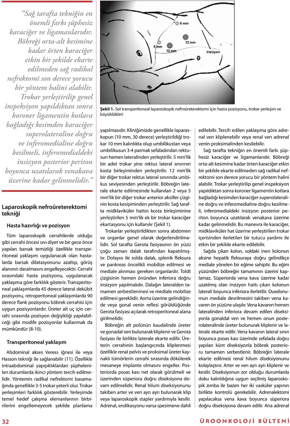 Trokar yerleştirilip genel inspeksiyon yapıldıktan sonra koroner ligamentin kotlara bağladığı kesimden karaciğer superolateraline doğru ve inferomedialine doğru kesilmeli, inferomedialdeki insizyon