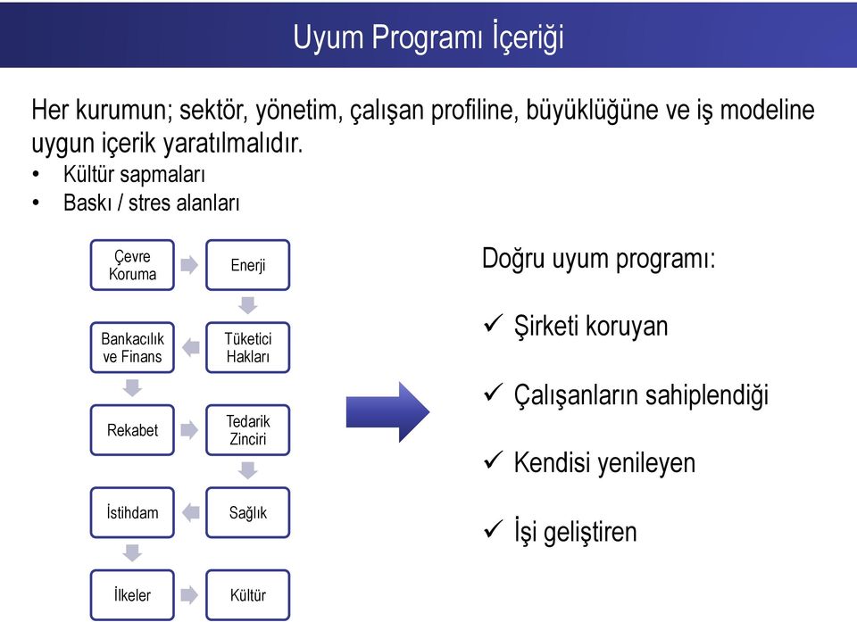 Kültür sapmaları Baskı / stres alanları Çevre Koruma Bankacılık ve Finans Rekabet İstihdam