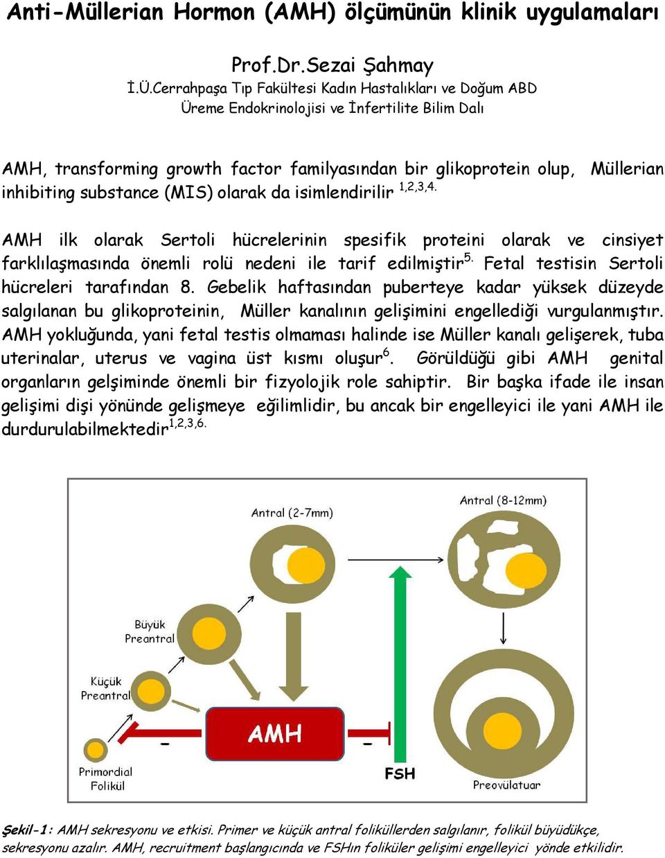 substance (MIS) olarak da isimlendirilir 1,2,3,4. AMH ilk olarak Sertoli hücrelerinin spesifik proteini olarak ve cinsiyet farklılaşmasında önemli rolü nedeni ile tarif edilmiştir 5.