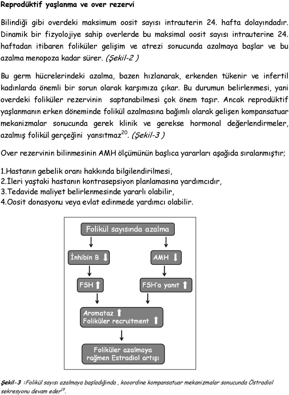 (Şekil-2 ) Bu germ hücrelerindeki azalma, bazen hızlanarak, erkenden tükenir ve infertil kadınlarda önemli bir sorun olarak karşımıza çıkar.