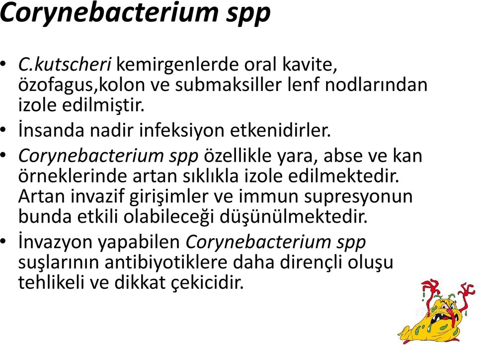 İnsanda nadir infeksiyon etkenidirler.