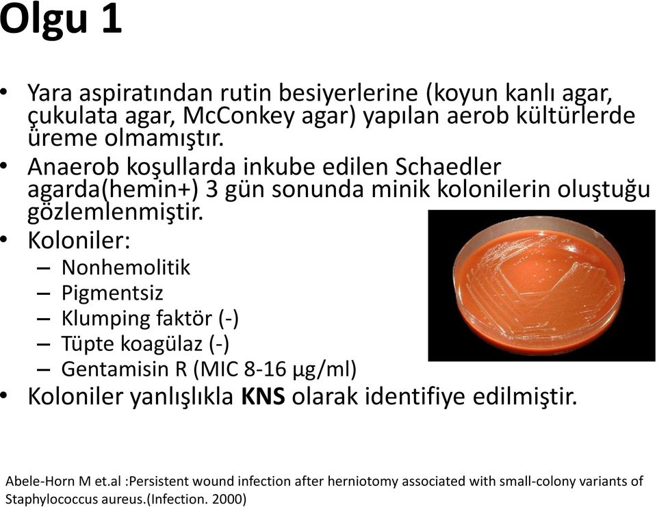 Koloniler: Nonhemolitik Pigmentsiz Klumping faktör (-) Tüpte koagülaz (-) Gentamisin R (MIC 8-16 µg/ml) Koloniler yanlışlıkla KNS olarak