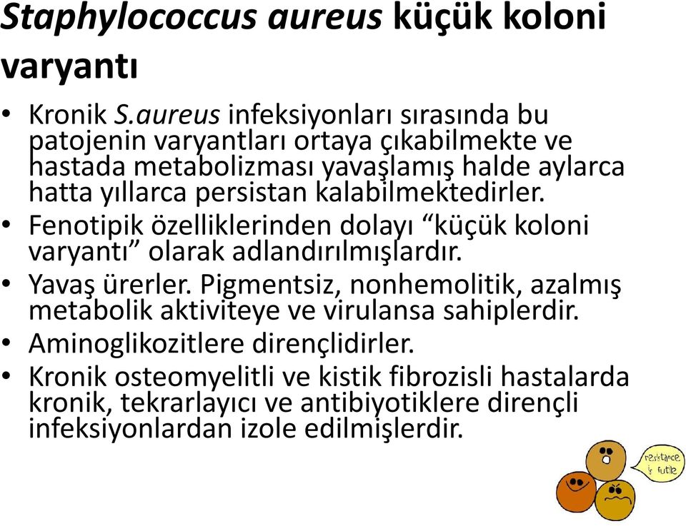 persistan kalabilmektedirler. Fenotipik özelliklerinden dolayı küçük koloni varyantı olarak adlandırılmışlardır. Yavaş ürerler.