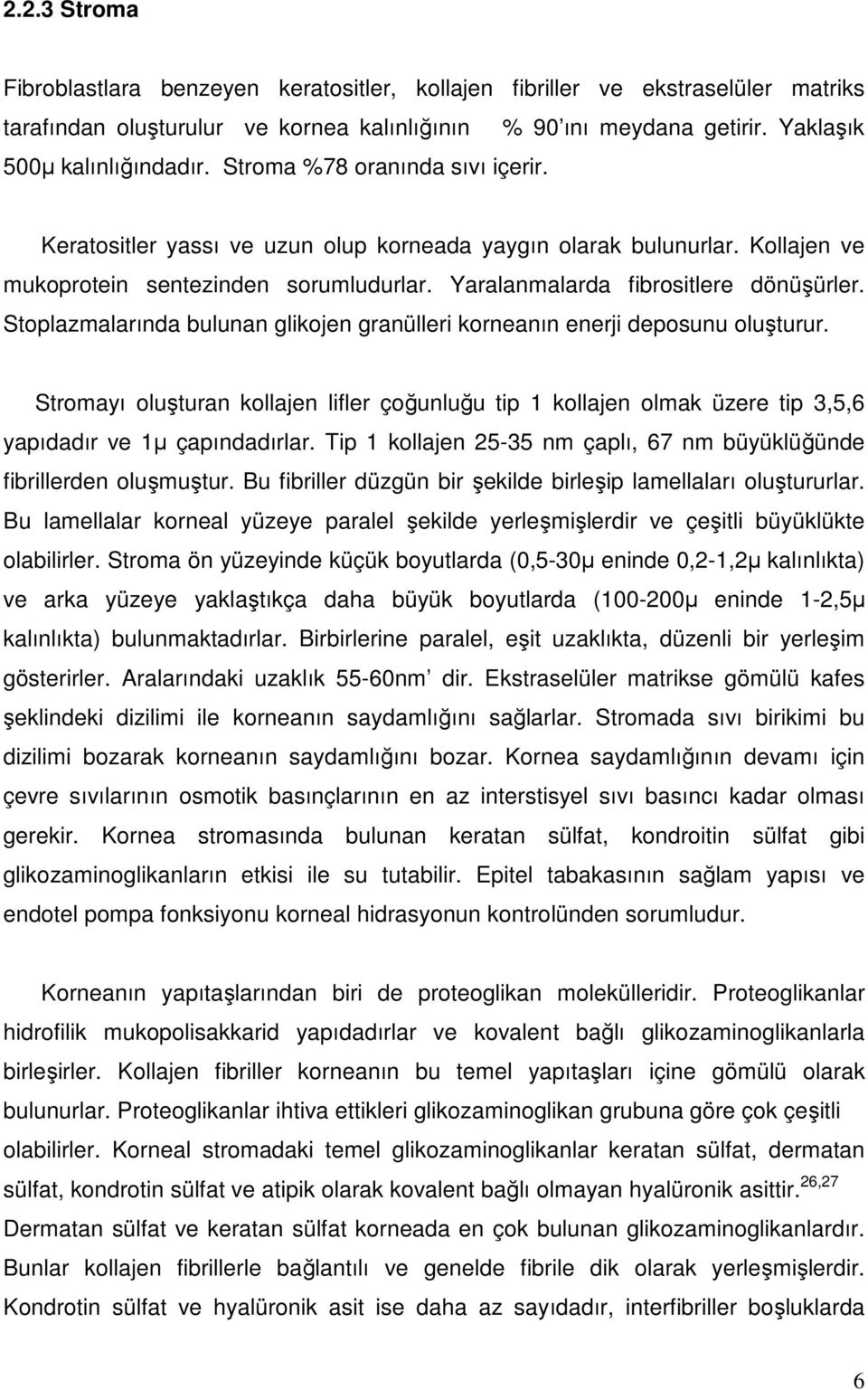 Stoplazmalarında bulunan glikojen granülleri korneanın enerji deposunu oluşturur. Stromayı oluşturan kollajen lifler çoğunluğu tip 1 kollajen olmak üzere tip 3,5,6 yapıdadır ve 1µ çapındadırlar.