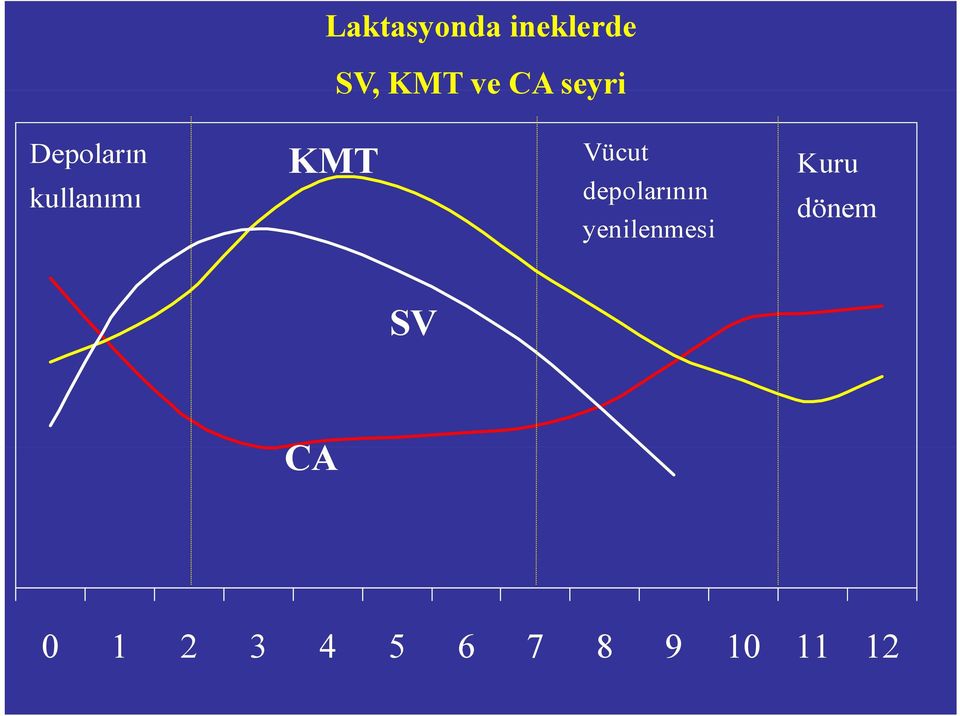 depolarının yenilenmesi Kuru dönem