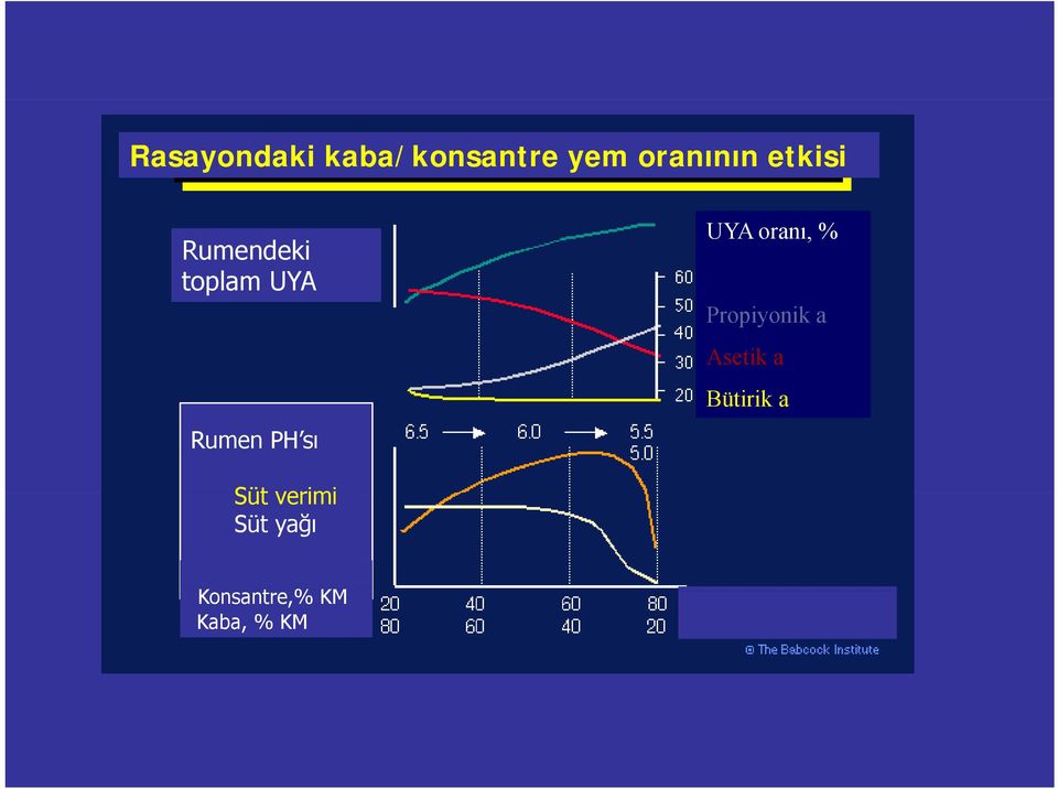 oranı, % Propiyonik a Asetik a Bütirik ik a