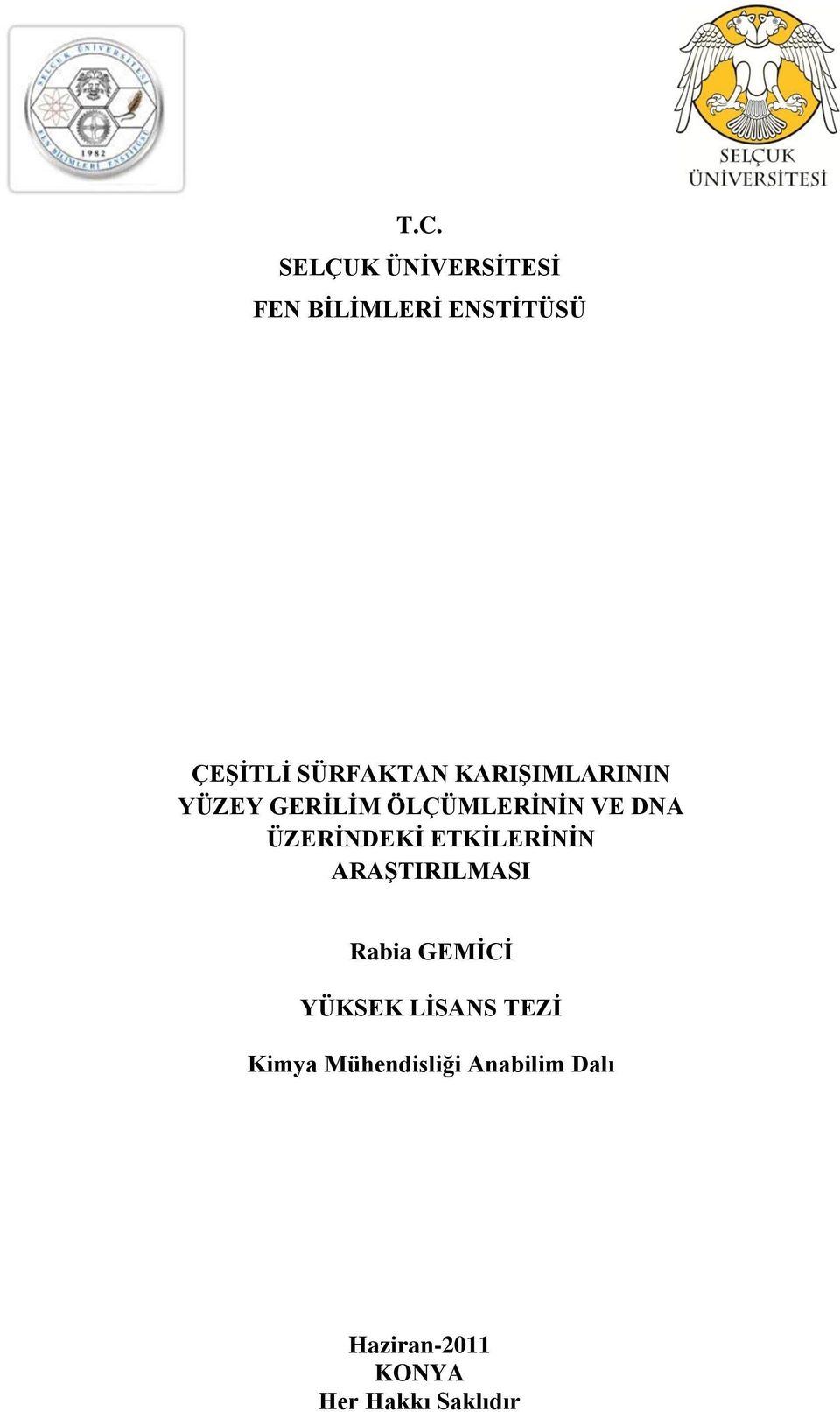 ÜZERİNDEKİ ETKİLERİNİN ARAŞTIRILMASI Rabia GEMİCİ YÜKSEK LİSANS