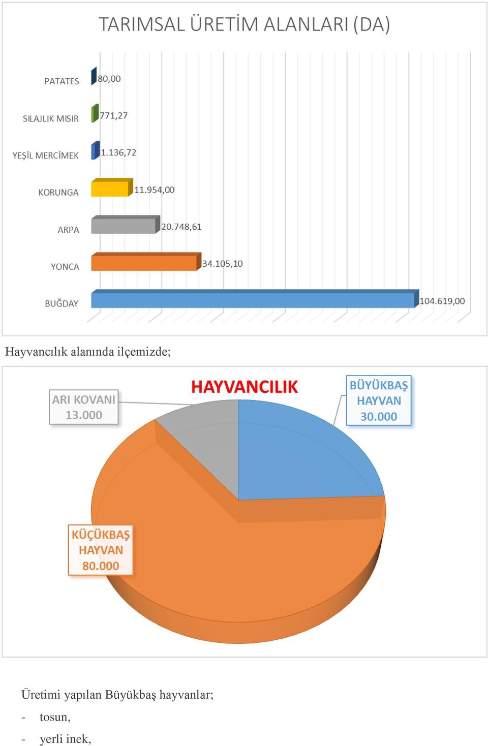 yapılan Büyükbaş