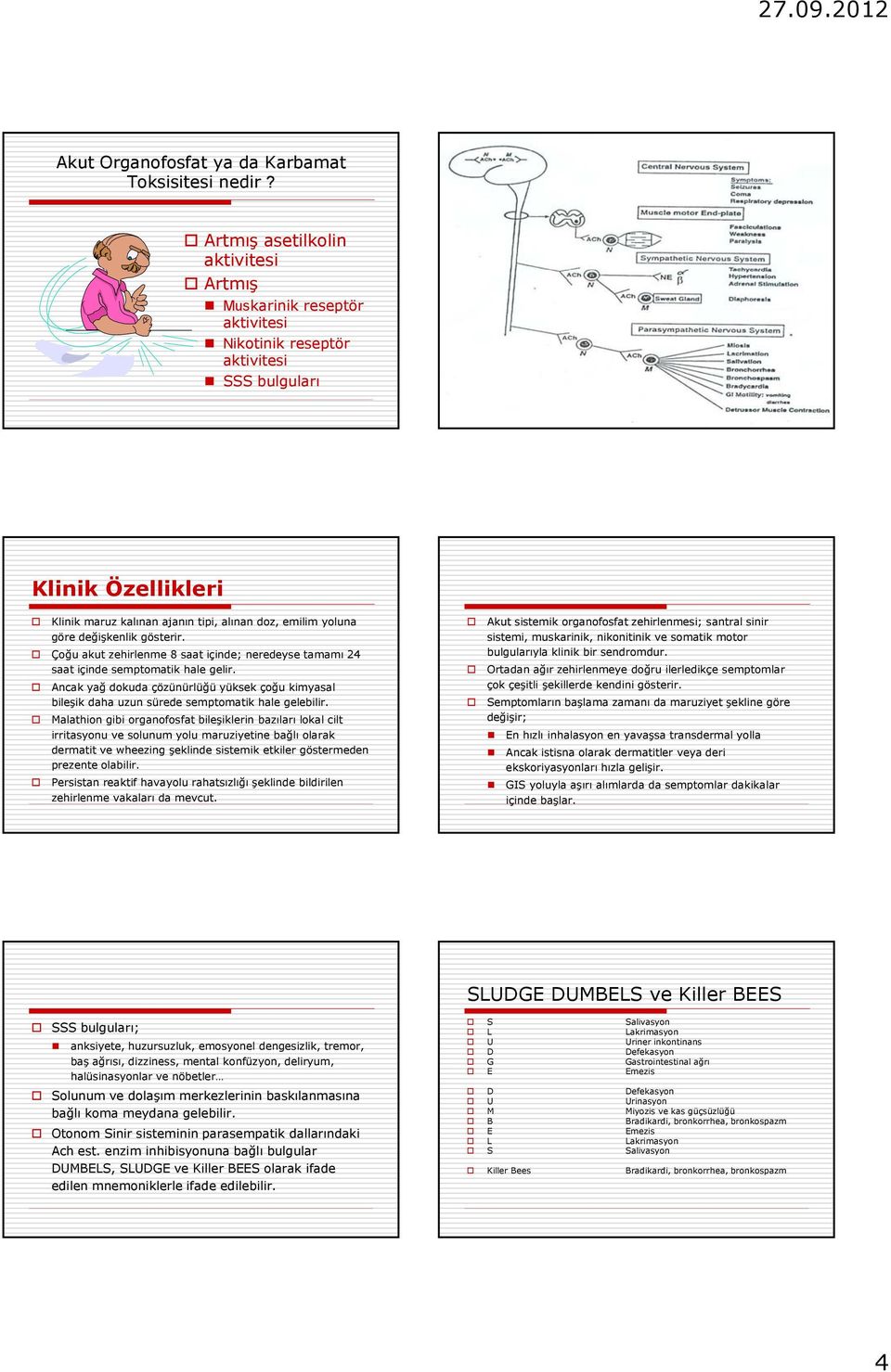 değişkenlik gösterir. Çoğu akut zehirlenme 8 saat içinde; neredeyse tamamı 24 saat içinde semptomatik hale gelir.