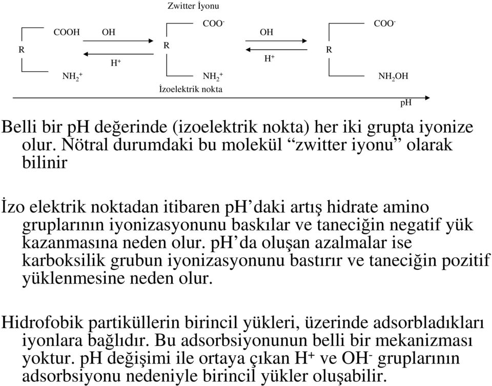 kazanmasına neden olur. ph da oluşan azalmalar ise karboksilik grubun iyonizasyonunu bastırır ve taneciğin pozitif yüklenmesine neden olur.