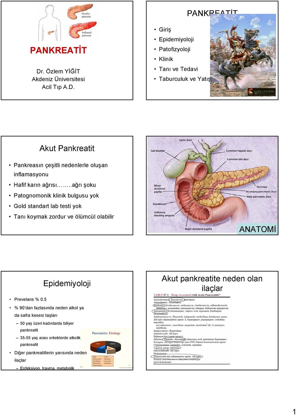 Giriş Epidemiyoloji Patofizyoloji Klinik Tanı ve Taburculuk ve Yatış Akut Pankreatit Pankreasın çeşitli nedenlerle oluşan inflamasyonu Hafif karın ağrısı.