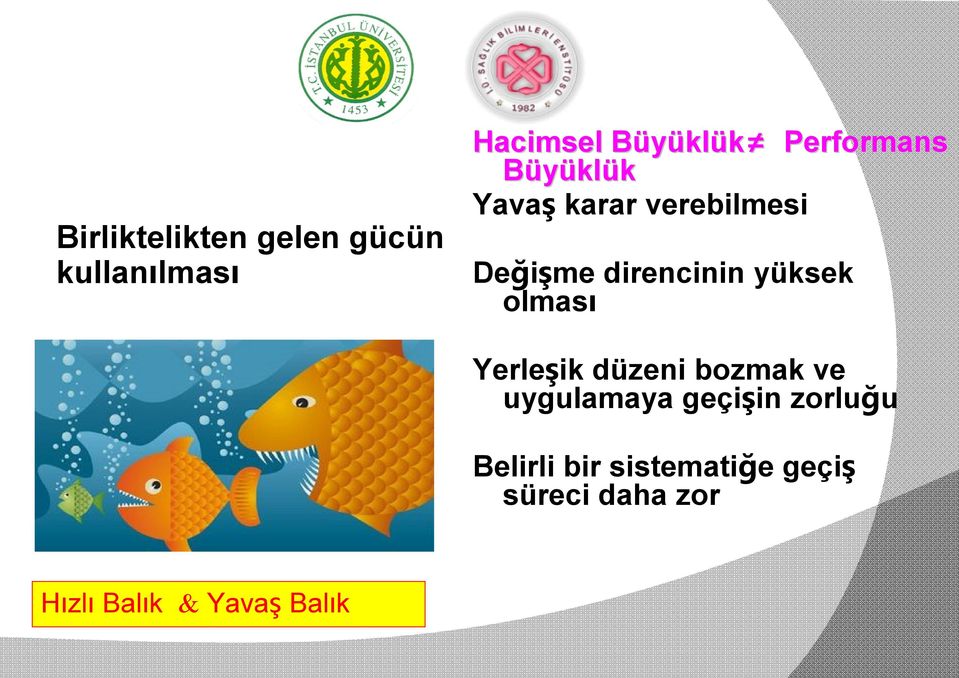 yüksek olması Yerleşik düzeni bozmak ve uygulamaya geçişin zorluğu