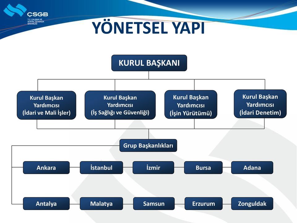 (İşin Yürütümü) Kurul Başkan Yardımcısı (İdari Denetim) Grup Başkanlıkları