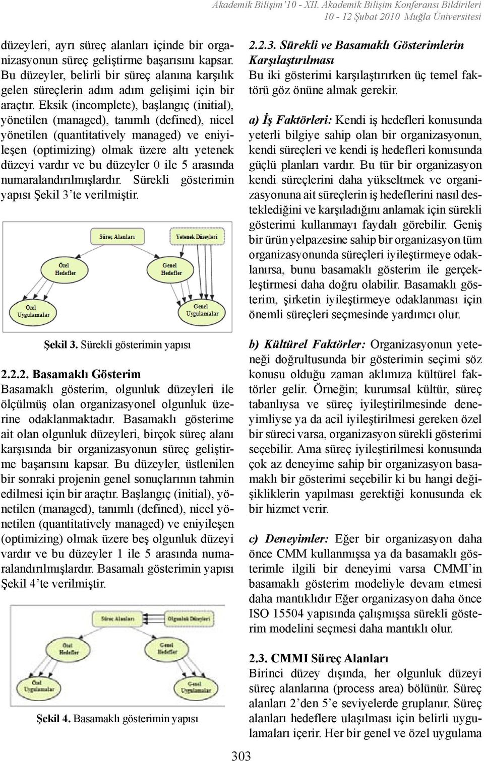 Eksik (incomplete), başlangıç (initial), yönetilen (managed), tanımlı (defined), nicel yönetilen (quantitatively managed) ve eniyileşen (optimizing) olmak üzere altı yetenek düzeyi vardır ve bu