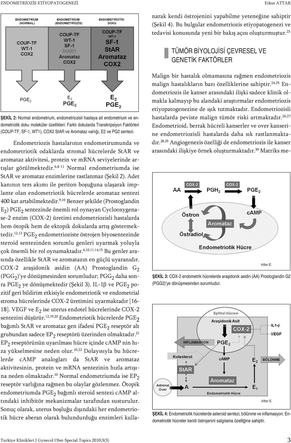 23 TÜMÖR BİYOLOJİSİ ÇEVRESEL VE GENETİK FAKTÖRLER ŞEKİL 2: Normal endometrium, endometriozisli hastaya ait endometrium ve endometriotik doku moleküler özellikleri: Farklı dokularda Transkripsiyon